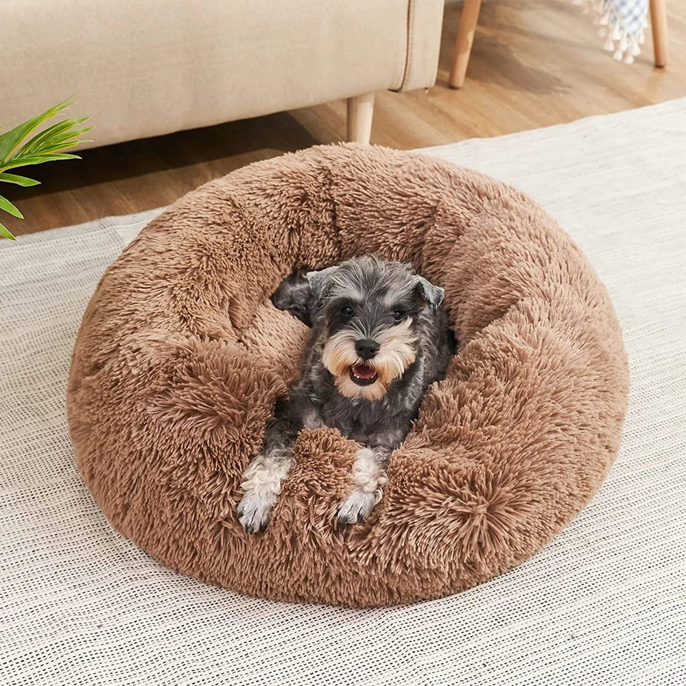 🛏️ Cama Redonda Suave para Perros (6 tamaños)