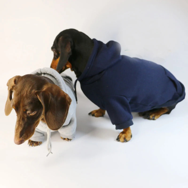 🌭 Sudadera Salchicha para Perros Pequeños
