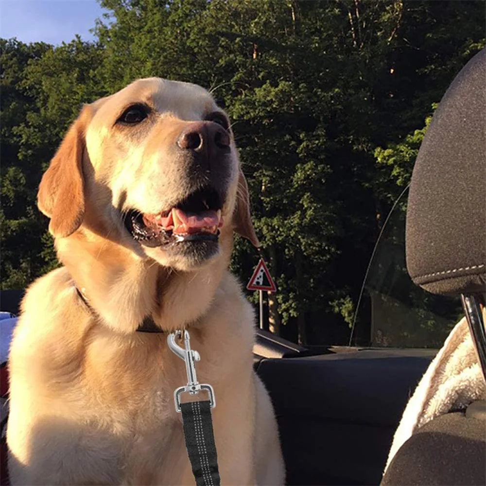 🚗 Arnés Cinturón de Seguridad para Perros en Auto