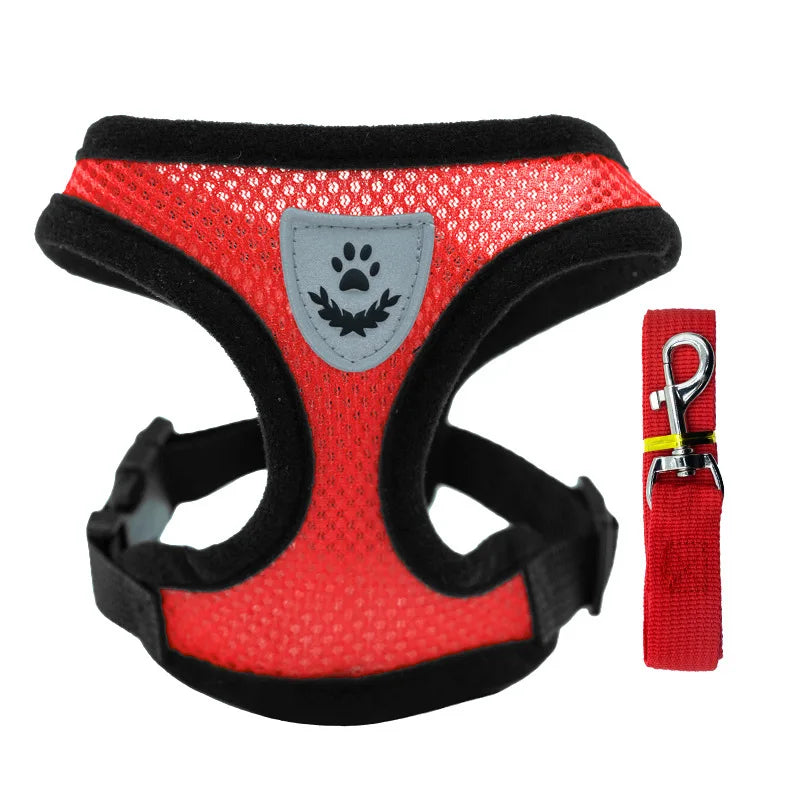 🦺 Arnés de Malla con Correa para Gatos y Perros Pequeños