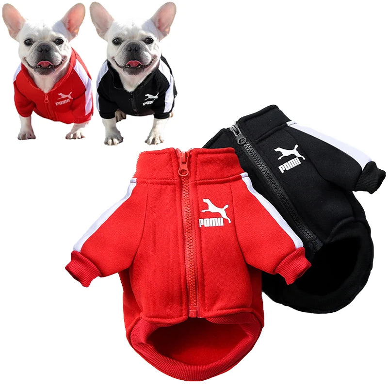 ⚾ Chamarra Beisbolera para Perros