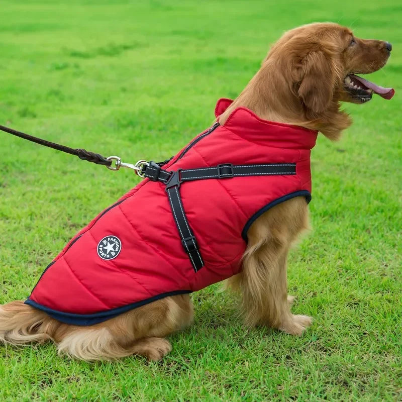 🧥 Chamarra con Arnés para Perros Grandes