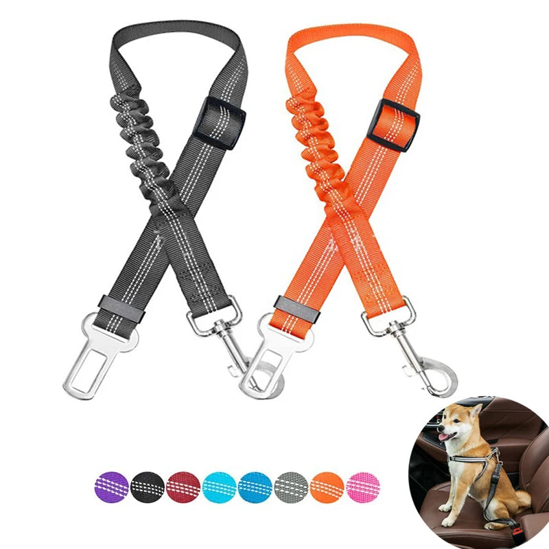 🚗 Arnés Cinturón de Seguridad para Perros en Auto