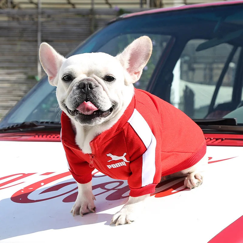 ⚾ Chamarra Beisbolera para Perros