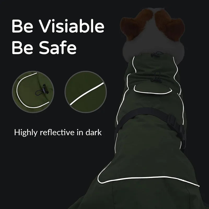 ☔ Impermeable Rompevientos para Perros