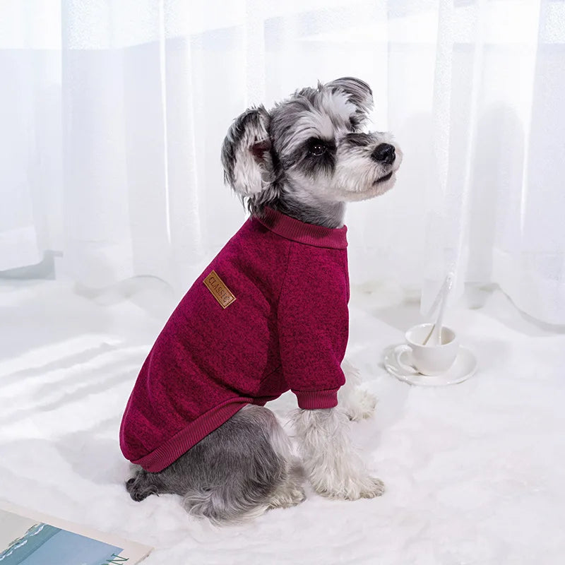 🧶 Suéter Tejido Cuello Redondo para Perros y Gatos
