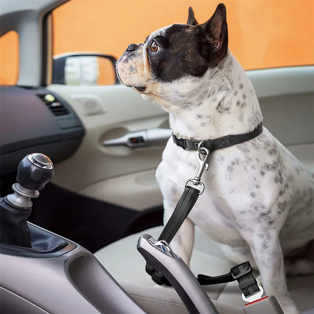 🚗 Arnés Cinturón de Seguridad para Perros en Auto