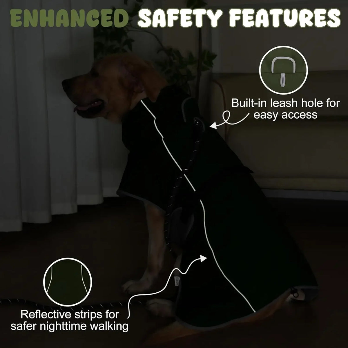 ☔ Impermeable Rompevientos para Perros