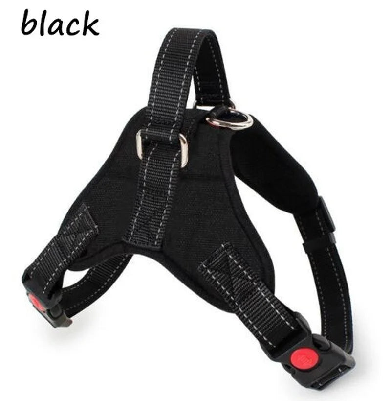 🦺 Pechera Chaleco Reflejante para Perros