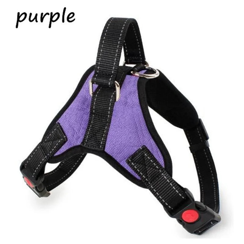 🦺 Pechera Chaleco Reflejante para Perros