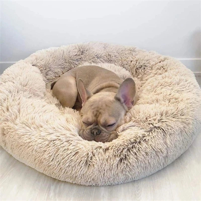 🛏️ Cama Redonda Suave para Perros (6 tamaños)