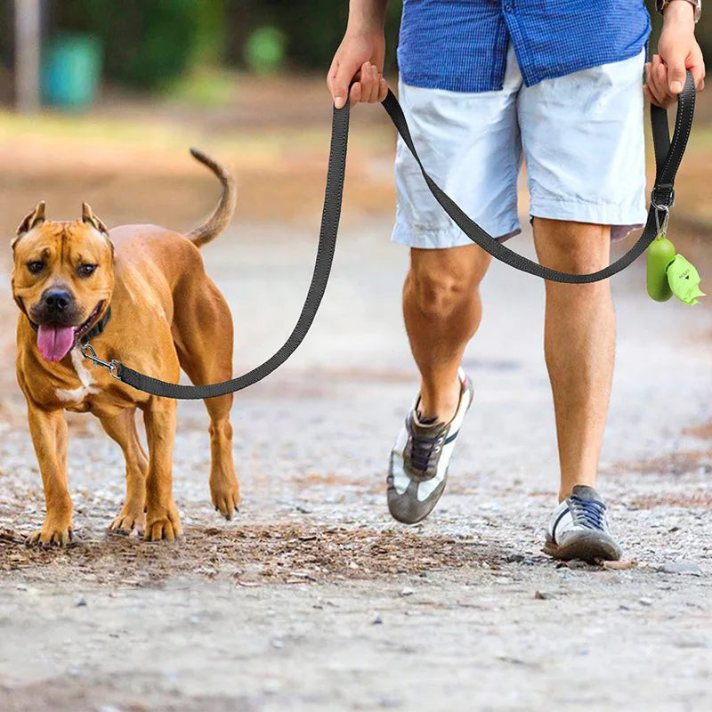 🌙 Arnés con Correa Reflejante para Perros