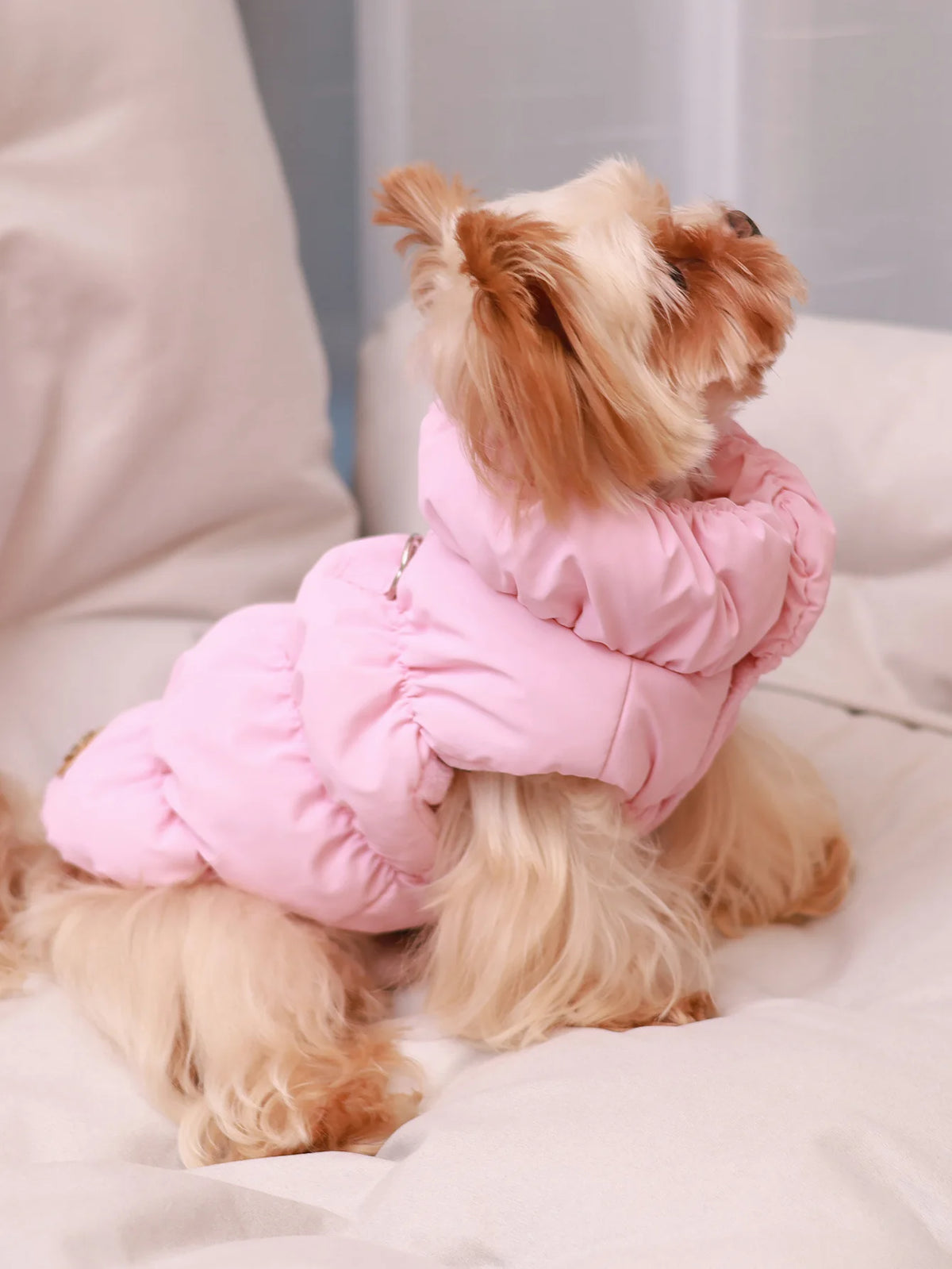 🧥 Abrigo Térmico de 3 Capas para Perros
