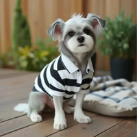 👕 Playera Polo Verano para Mascota