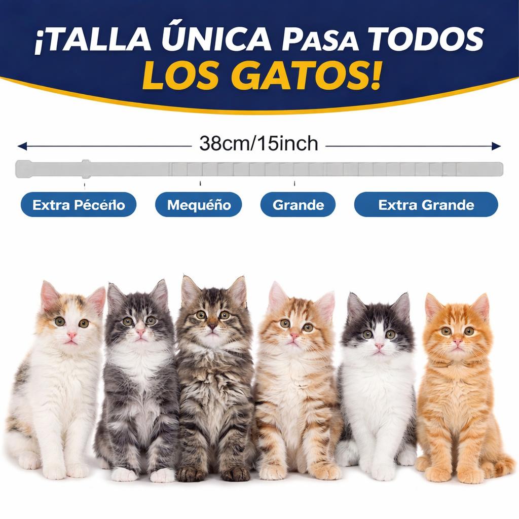 es-15994483605585-04.jpg