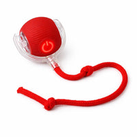 Pelota Electrónica USB - Rojo con correa
