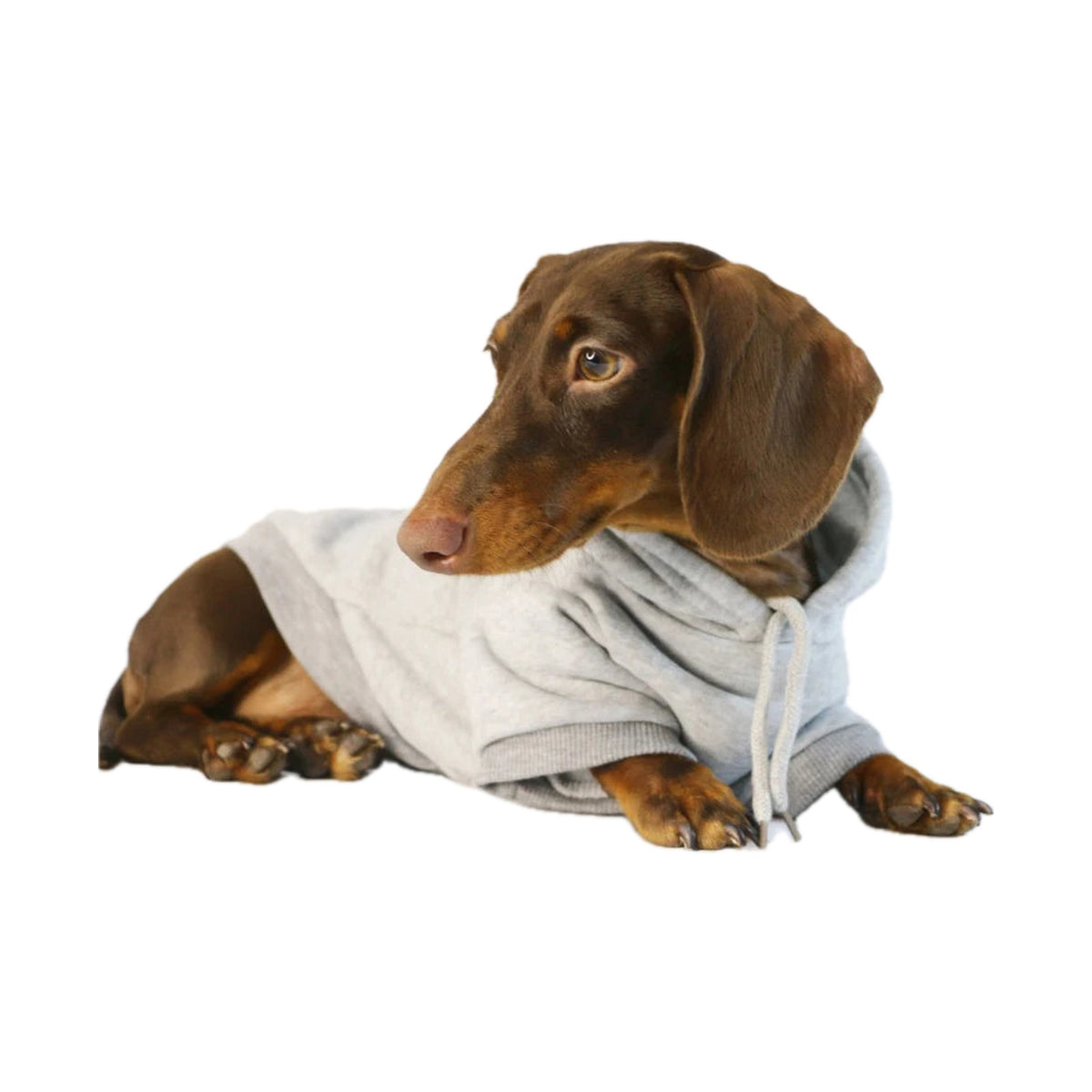 Sudadera Salchicha para Perros Pequeños