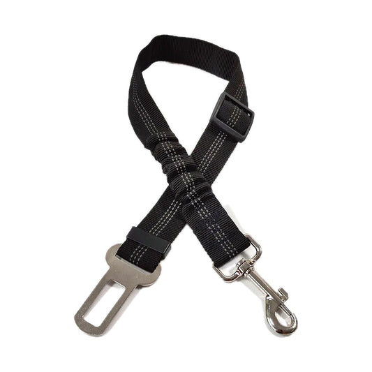 Cinturón de seguridad para perros en el auto